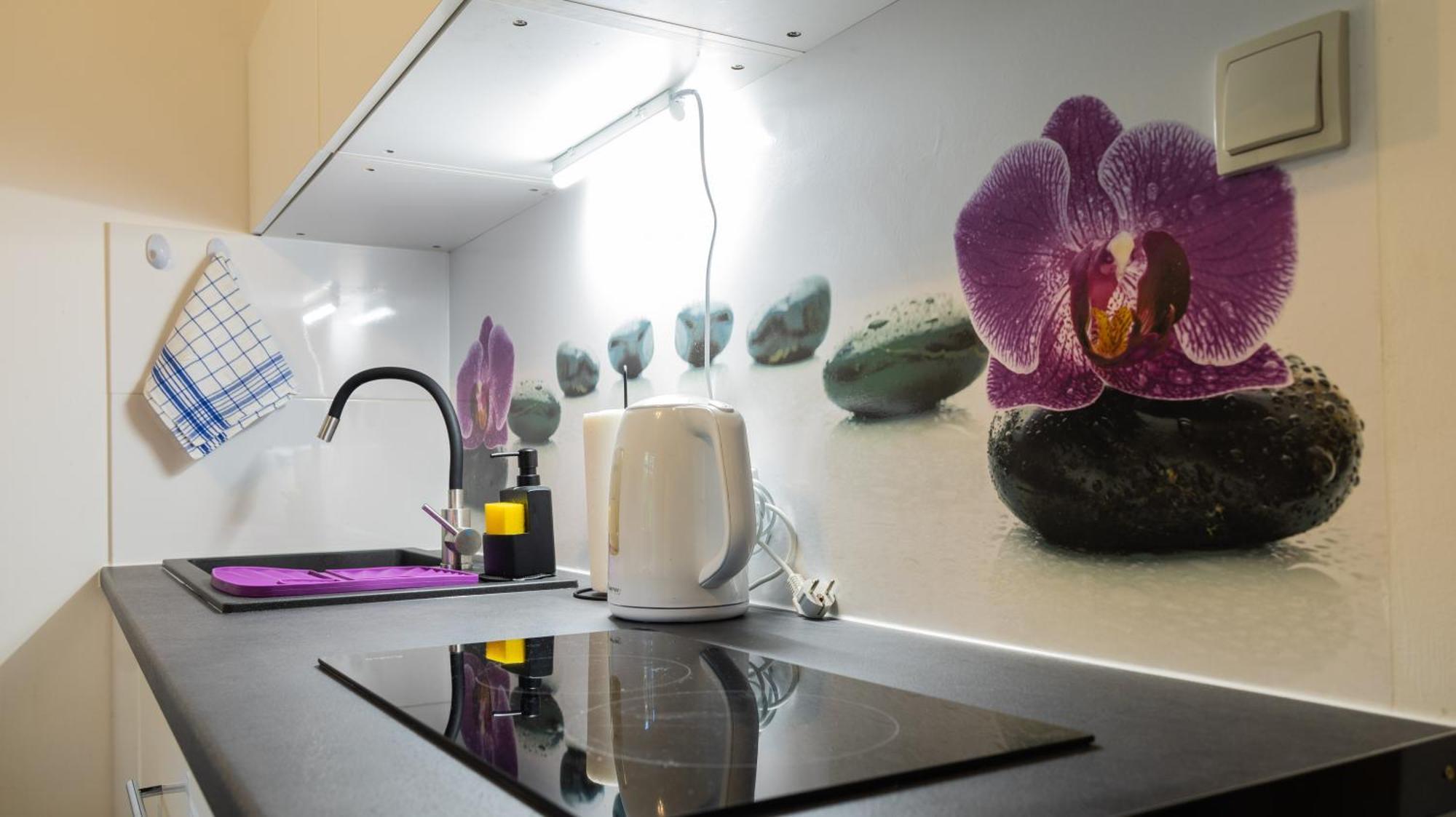 Apartament Ski Sudety كارباش المظهر الخارجي الصورة